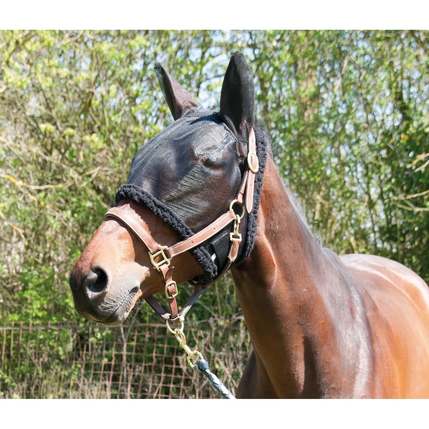Bonnet de pré noir T de T pour Cheval