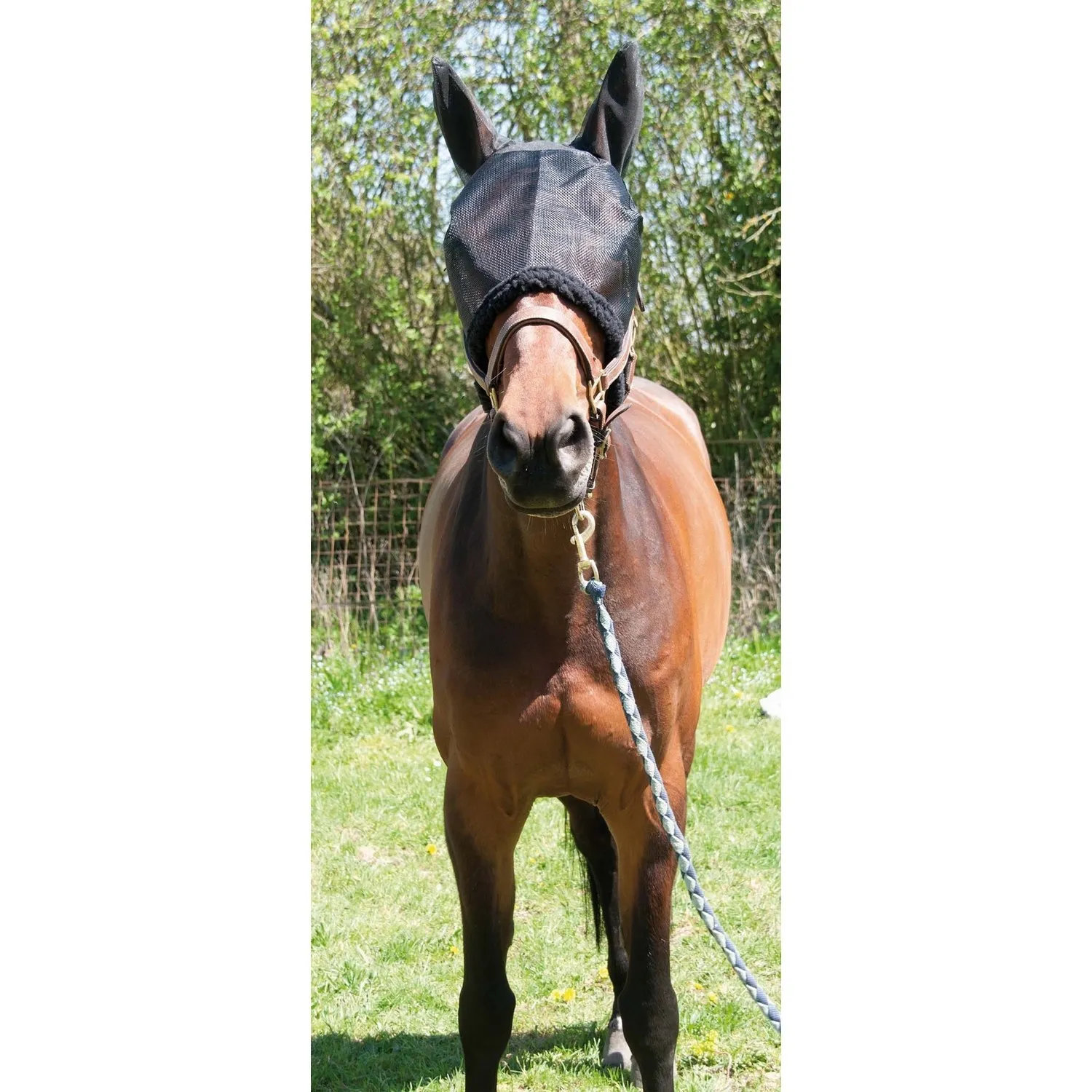 Bonnet de pré noir T de T pour Cheval