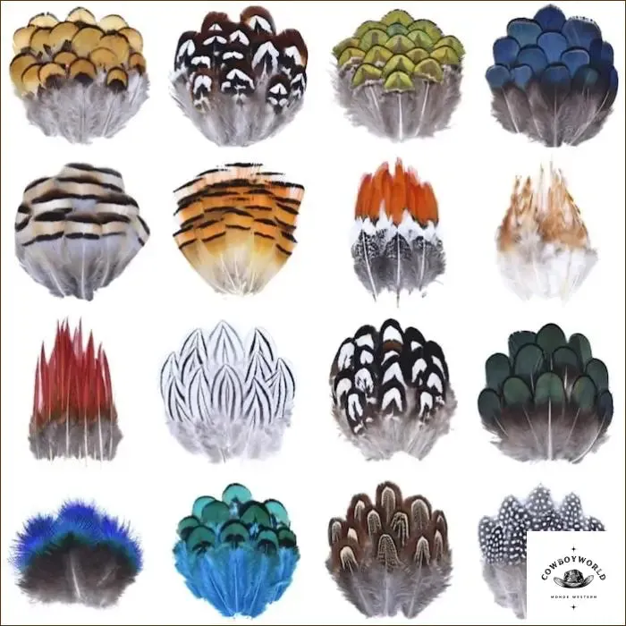 Plumes Pour Chapeau