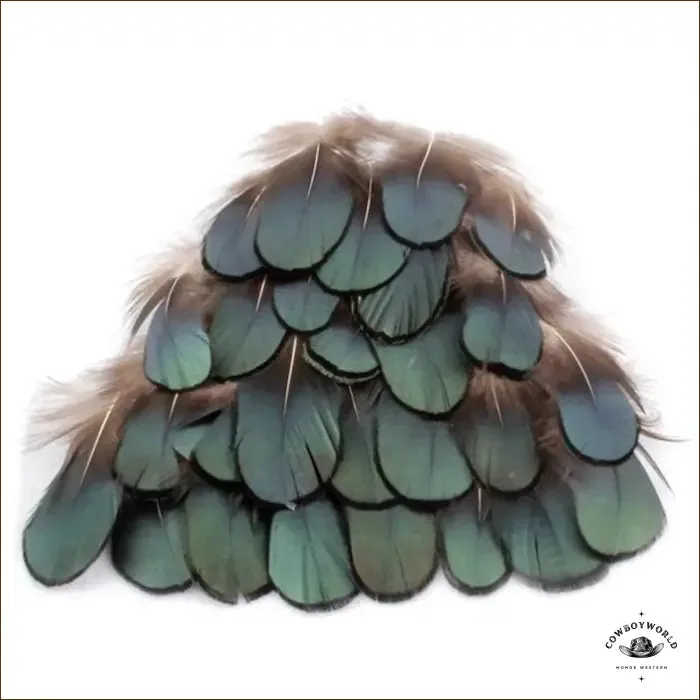 Plumes Pour Chapeau