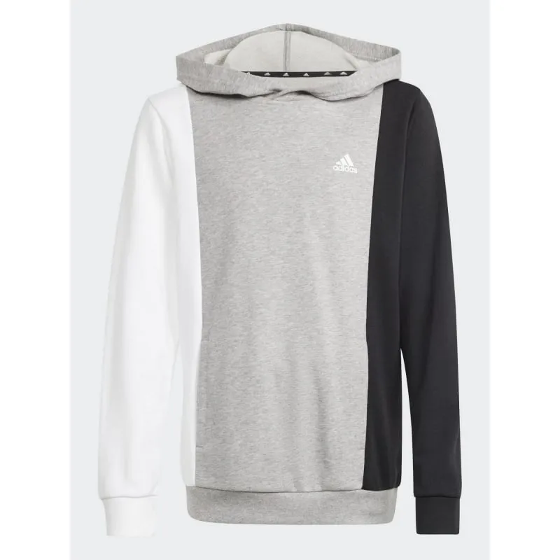 Sweat à capuche coeur brodé noir homme - Project X Paris | wimod